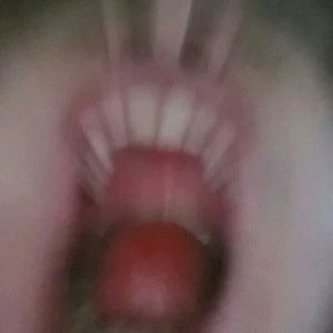 Meet your Posher, Henry